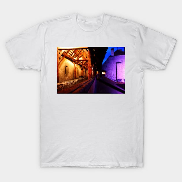 Chillon Castle, Mountreux, Switzerland T-Shirt by IgorPozdnyakov